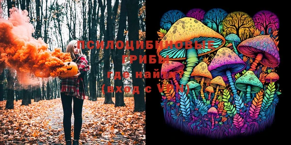 мет Абаза